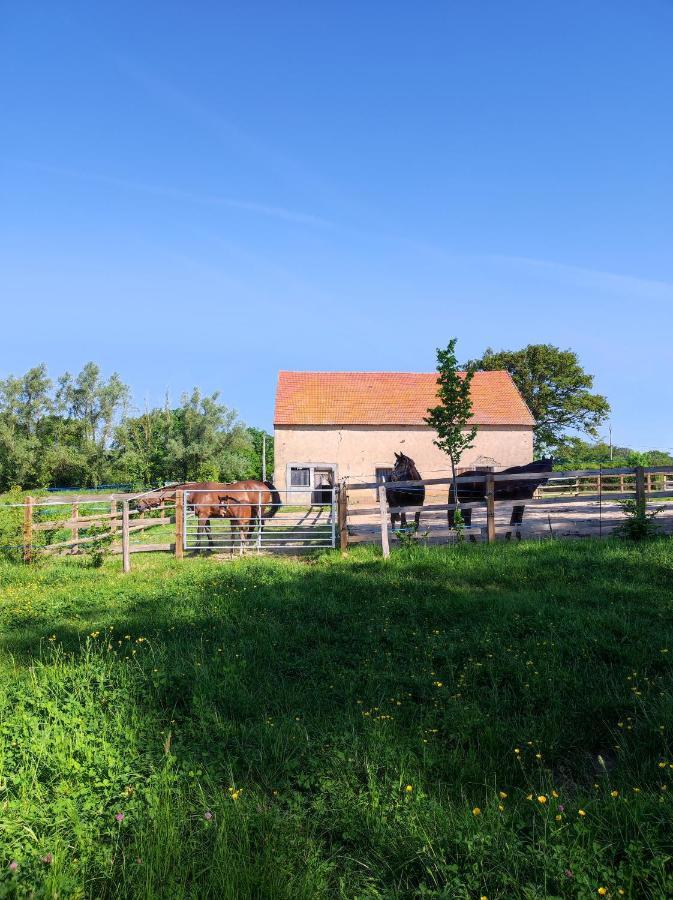 Hébergement de vacances Bienvenue à La Grenouillère Le Magny (Indre)